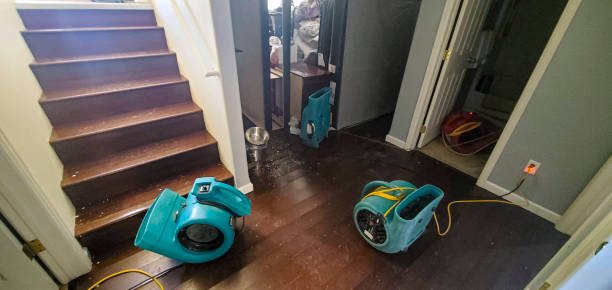Best Flood restoration services  in Mcpherson, KS