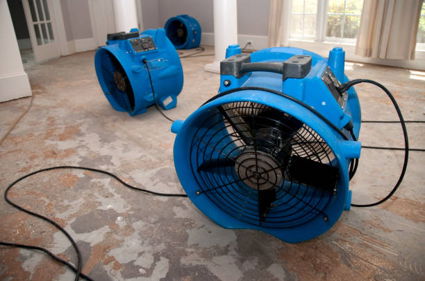 Best 24/7 water damage repair  in Mcpherson, KS