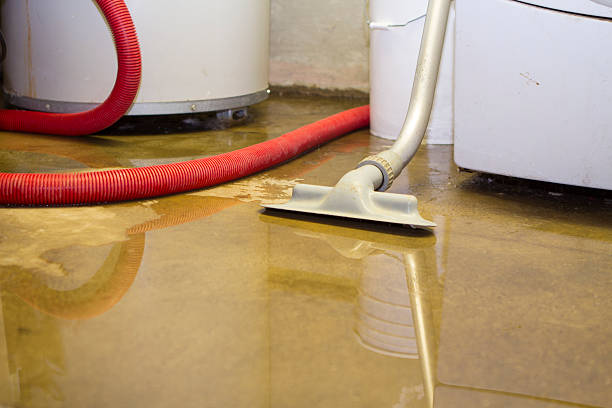 Best Ceiling water damage repair  in Mcpherson, KS