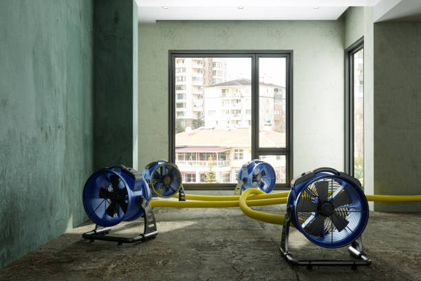 Best Water damage restoration experts  in Mcpherson, KS